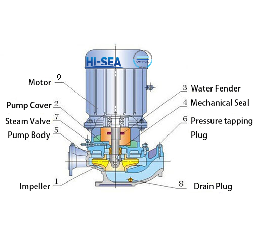 Marine Vertical Centrifugal Pump Structure.jpg